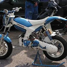 Suzuki Street magic SOLGT