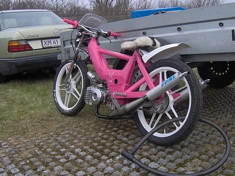 Puch Maxi pimp  billede 13