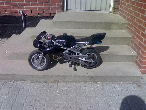 PGO pmx sport solgt - lille men vild billede 9