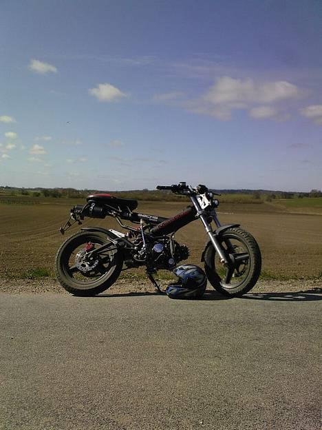 Sachs -|- MadAss -|- billede 2