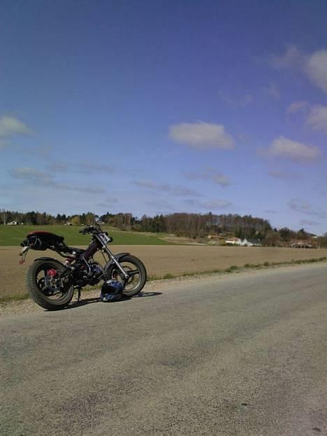 Sachs -|- MadAss -|- billede 3