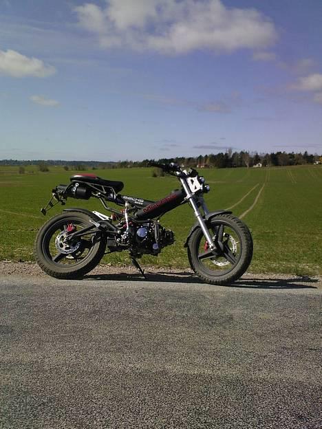 Sachs -|- MadAss -|- billede 4