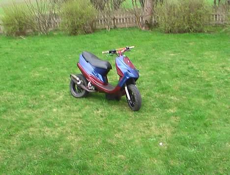 Adly falcon LC billede 15