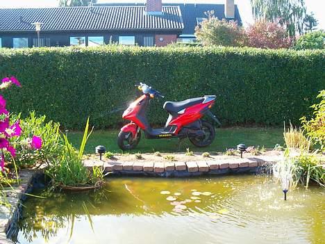 Piaggio NRG LC - Solgt - billede 5