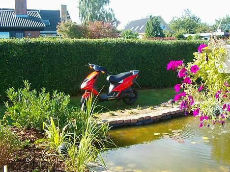 Piaggio NRG LC - Solgt - billede 6