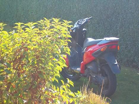 Piaggio NRG LC - Solgt - billede 7