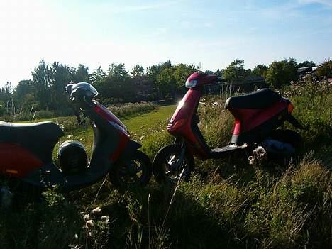 Piaggio New Zip - Solgt - billede 4