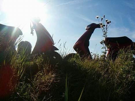 Piaggio New Zip - Solgt - billede 5