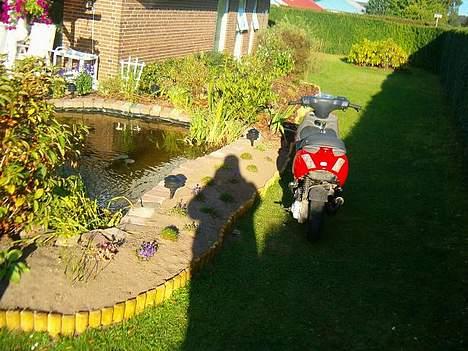 Piaggio New Zip - Solgt - billede 13