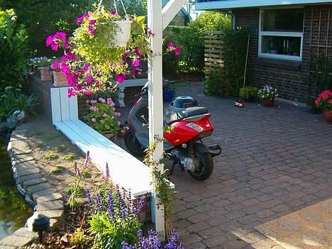 Piaggio New Zip - Solgt - billede 16