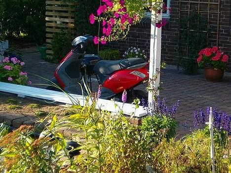 Piaggio New Zip - Solgt - billede 17