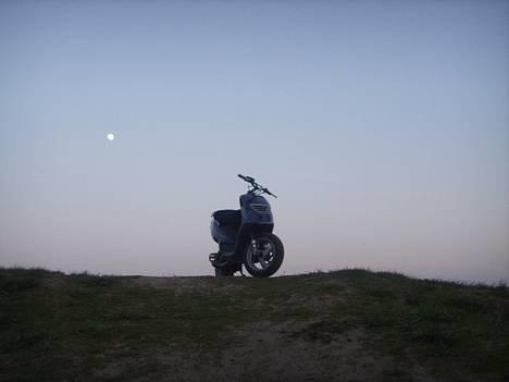 Piaggio Mine scooter gennem tiden - Ja den er sQ smuk...  billede 10