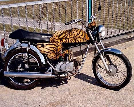 Suzuki K50 billede 4