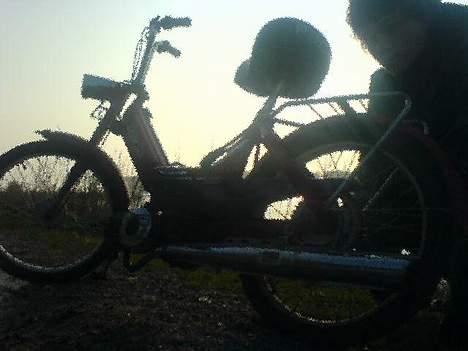 Puch Maxi K Solgt-1700 billede 7