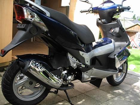 PGO G-MAX  Blå perlemor billede 16