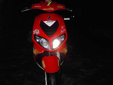 Peugeot 307 WRC - Peugeot 307 WRC billede 1