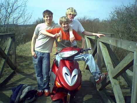 Adly silverfox #Team-Spjald# billede 1