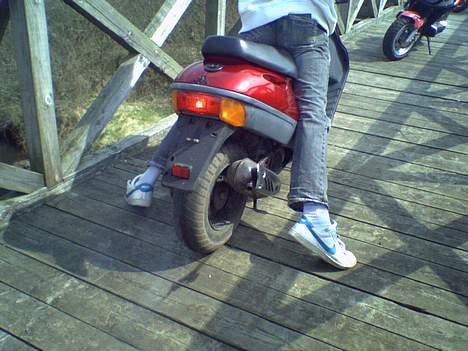 Adly silverfox #Team-Spjald# - jimmy prøver at lave en bette brændert med min store bagdæk ! billede 2