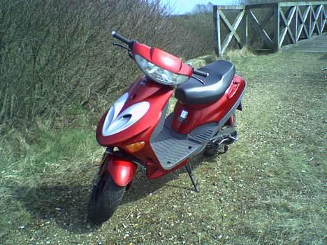 Adly silverfox #Team-Spjald# billede 3