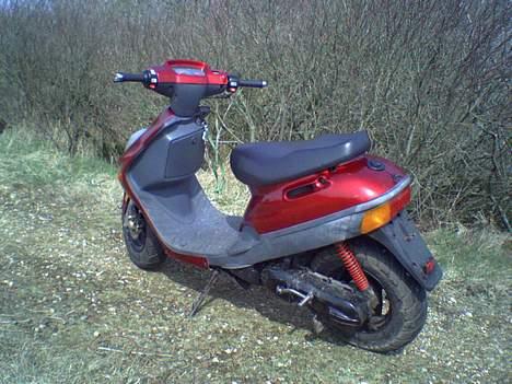 Adly silverfox #Team-Spjald# billede 4