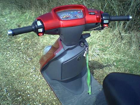 Adly silverfox #Team-Spjald# billede 5