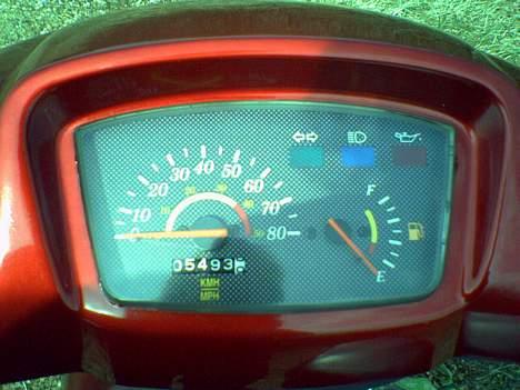 Adly silverfox #Team-Spjald# billede 6