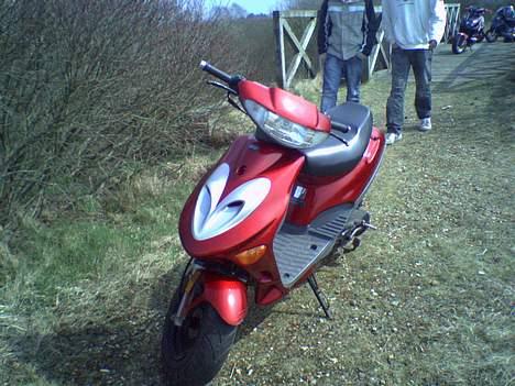 Adly silverfox #Team-Spjald# billede 7