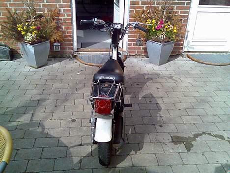 Suzuki FZ50 billede 2