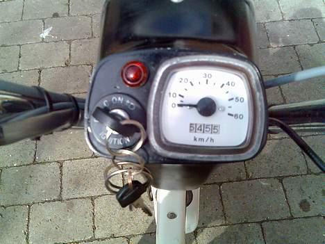 Suzuki FZ50 billede 4