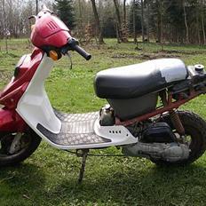 PGO Hot 50 "projekt"