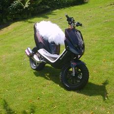 PGO Hot 50 <<TOTALSKADET>>