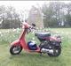 Honda Melody Deluxe #SOLGT