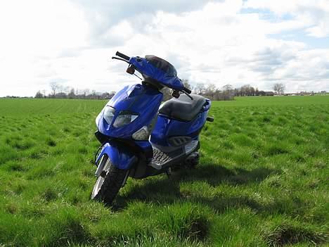 PGO dr.big billede 2