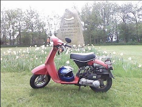 Honda Melody Deluxe #SOLGT - Nyt taget d. 13 maj. I Gallehus foran den ene guldhorn sten. Taget med mobil. billede 1