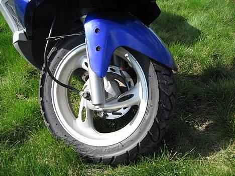 PGO dr.big billede 4