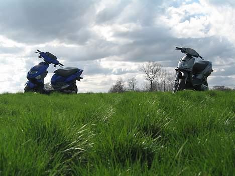 PGO dr.big billede 11