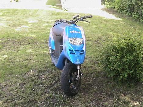 Piaggio Typhoon billede 7