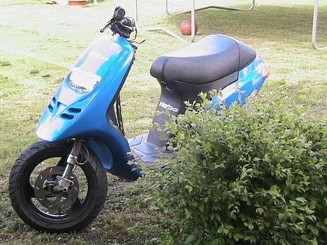 Piaggio Typhoon billede 8