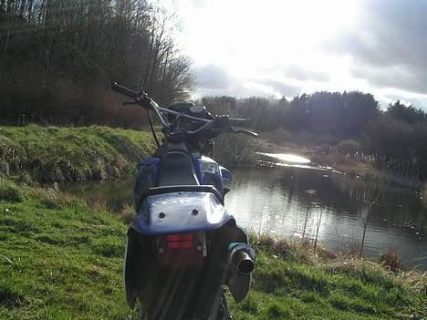 Suzuki SMX Tilsalg billede 9