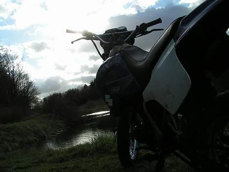 Suzuki SMX Tilsalg billede 10