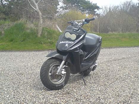 PGO Big Max (solgt) billede 15