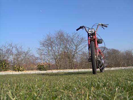 Puch Maxi P  billede 2