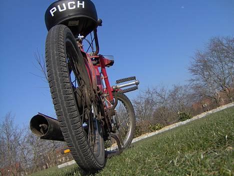 Puch Maxi P  - Go røv billede 4
