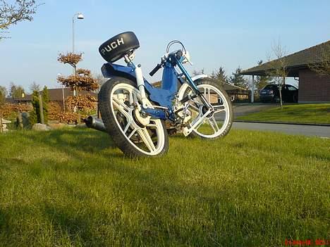 Puch 1*  Maxi k/2g. solgt billede 3