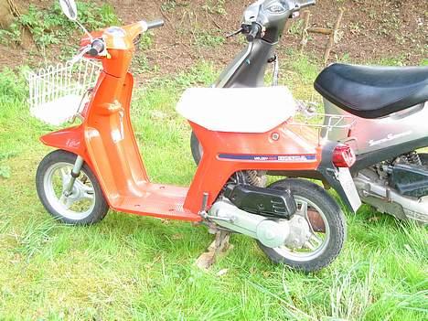 Honda melody mini NT50 billede 8
