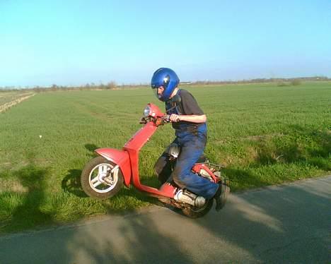 Honda Melody Deluxe #SOLGT - Mig på Melodyen. Taget af Morten billede 9