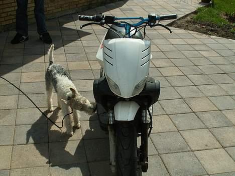 Yamaha slider Byttet til Jog billede 4