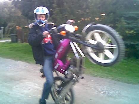 Puch Monza - Grand Prix - Mig på Baghjul i 2 gear heh billede 6