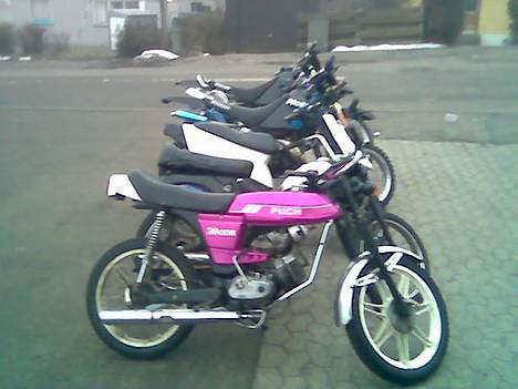 Puch Monza - Grand Prix - Ja her er så hele flokken, og tjek lige de to bageste Suzukiér ud, de er sku Nice billede 7