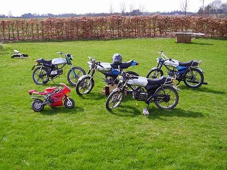 Kreidler Florett 5gear rmc solgt billede 15